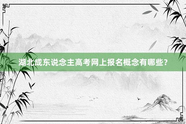 湖北成东说念主高考网上报名概念有哪些？